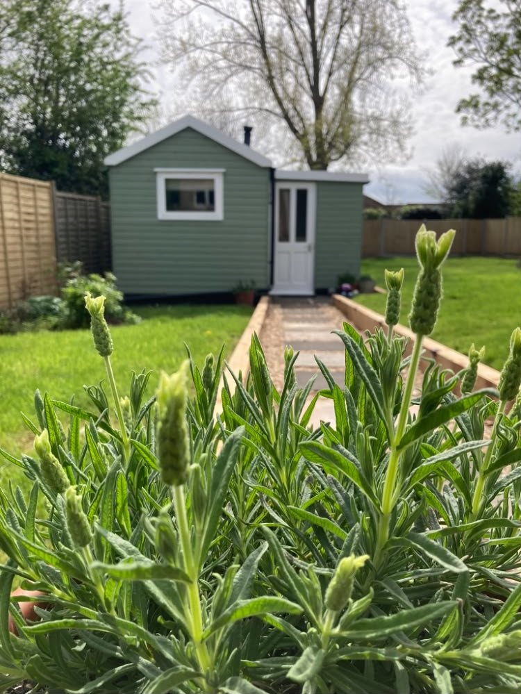 Harriet's sage-green treatment cabin at the end of the garden path, framed by lavender